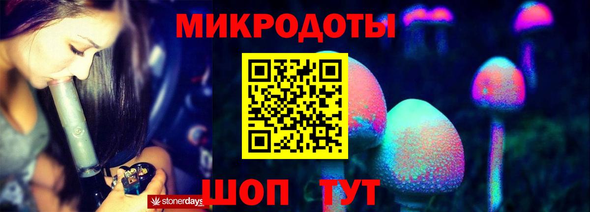 что такое наркотик  Вход с VPN  Камень-на-Оби  Псилоцибиновые грибы прущие грибы  Галлюциногенные грибы Psilocybine cubensis 